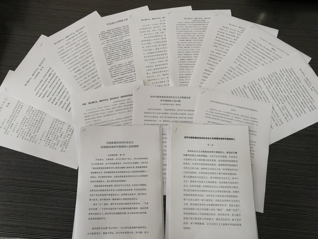 公共教學部黨支部扎實開展主題教育活動