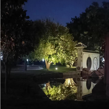 &ldquo;滿(mǎn)園&rdquo;夜景